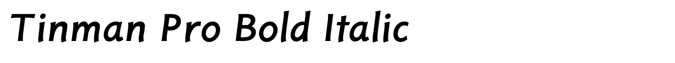 Tinman Pro Bold Italic image